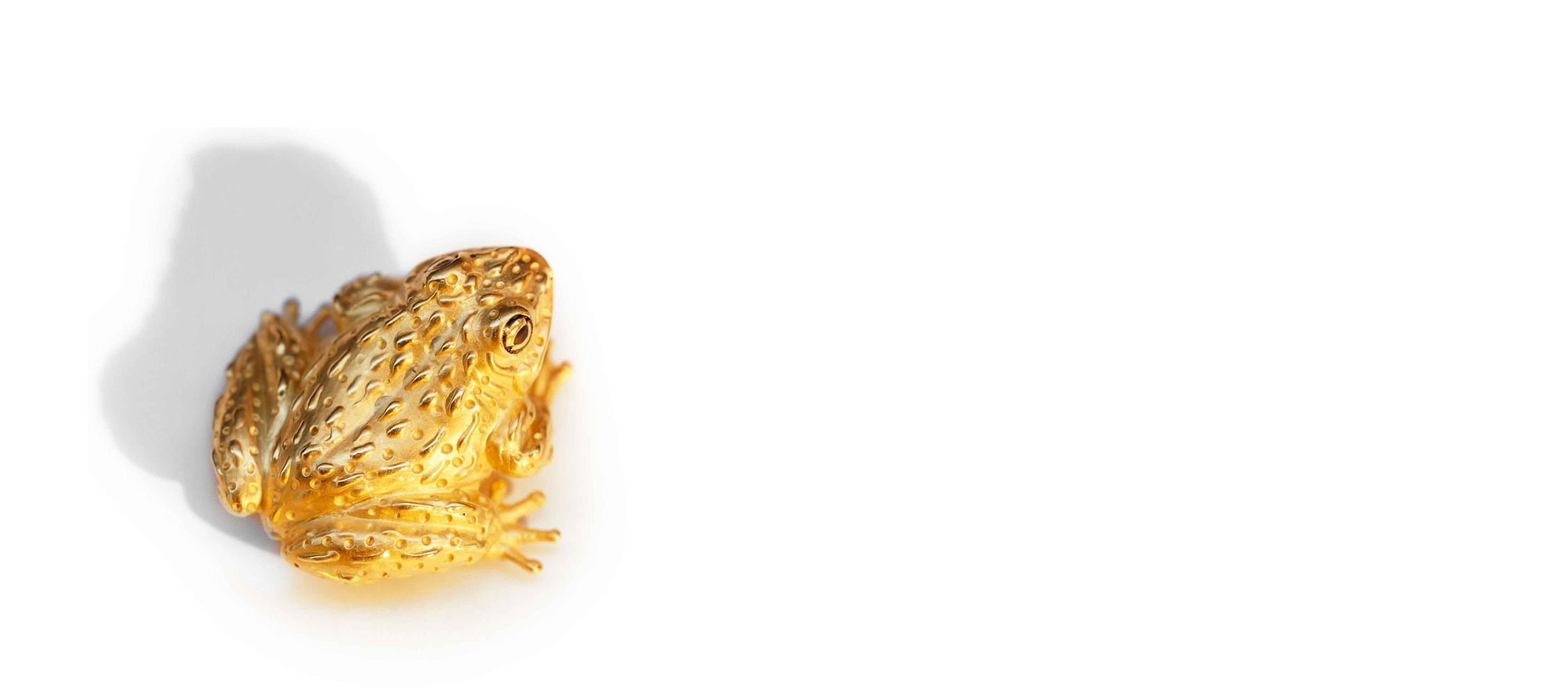 Golden Toad
