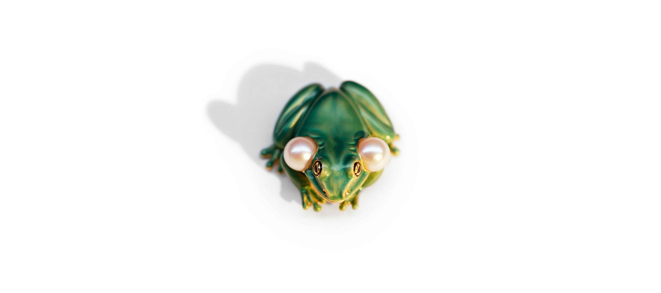 Green Frog With Vocal Sacs