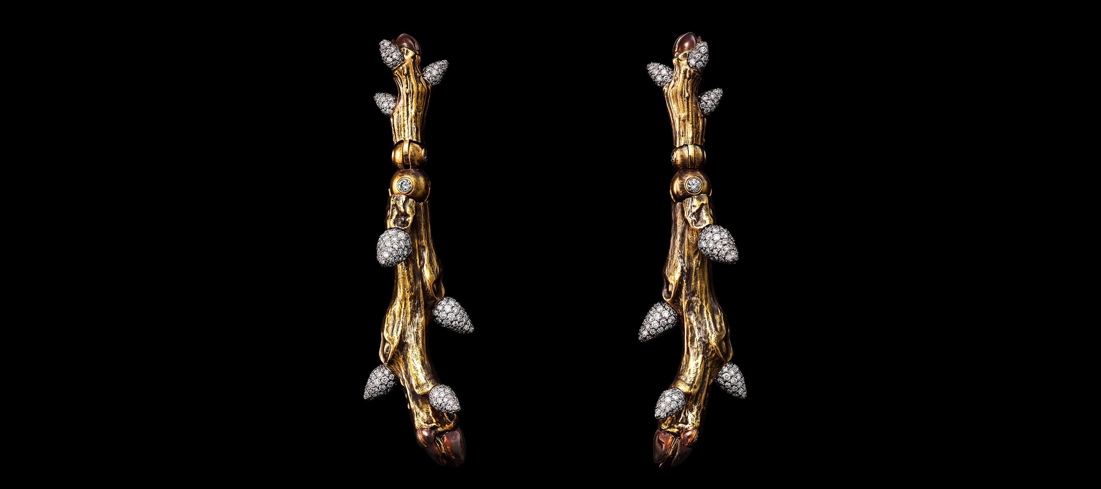 Noci