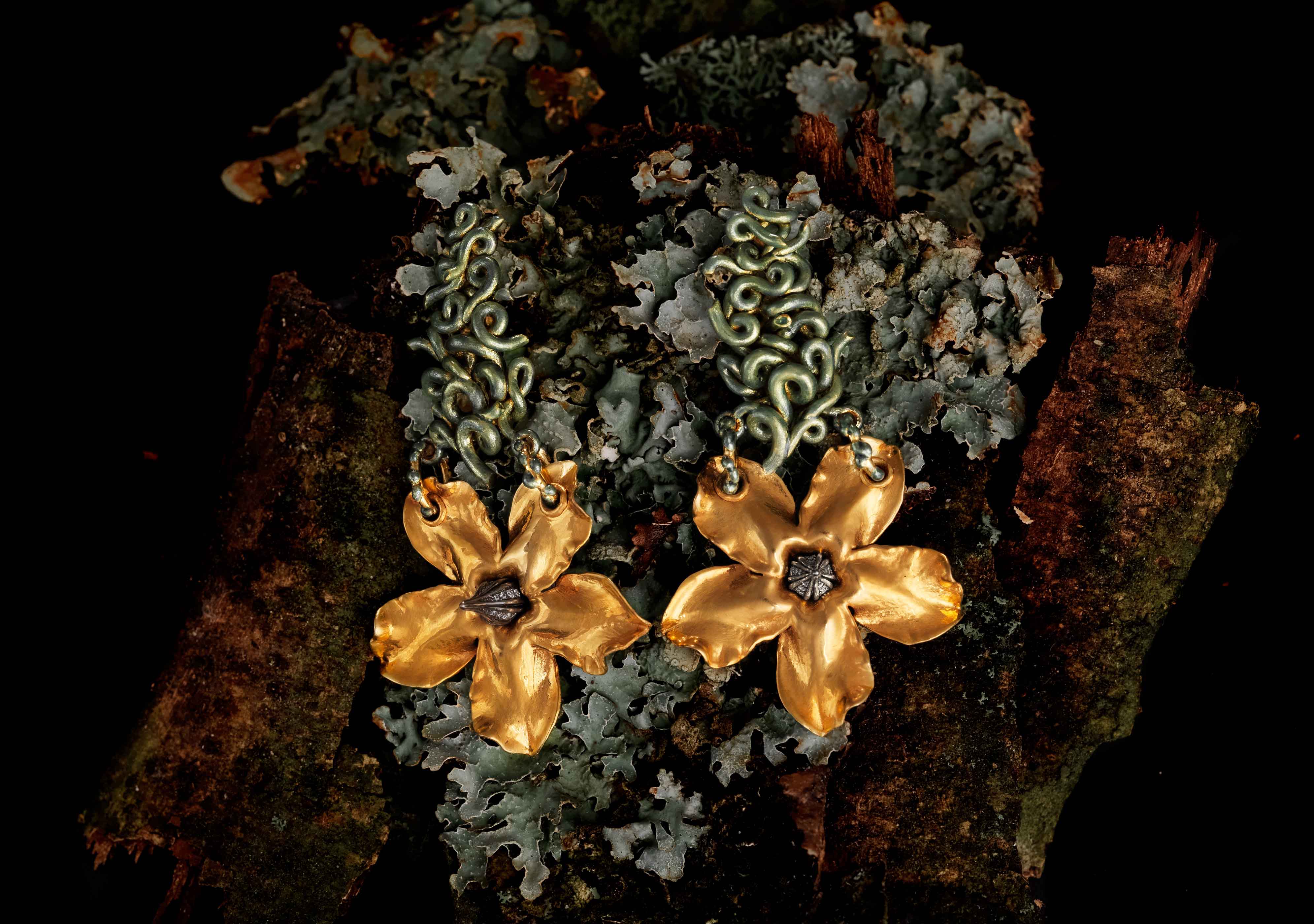 Pachypodium I
