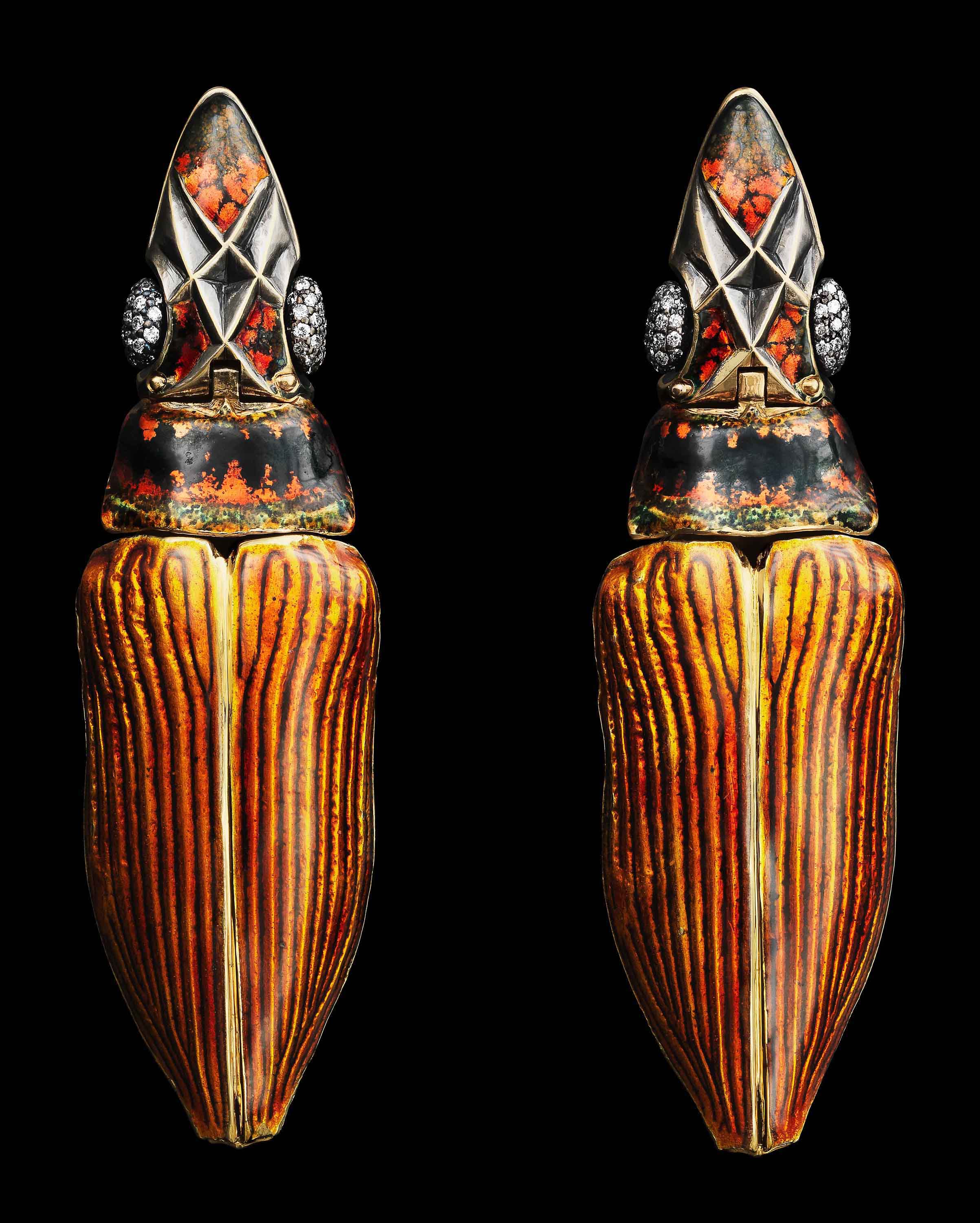 Psiloptera