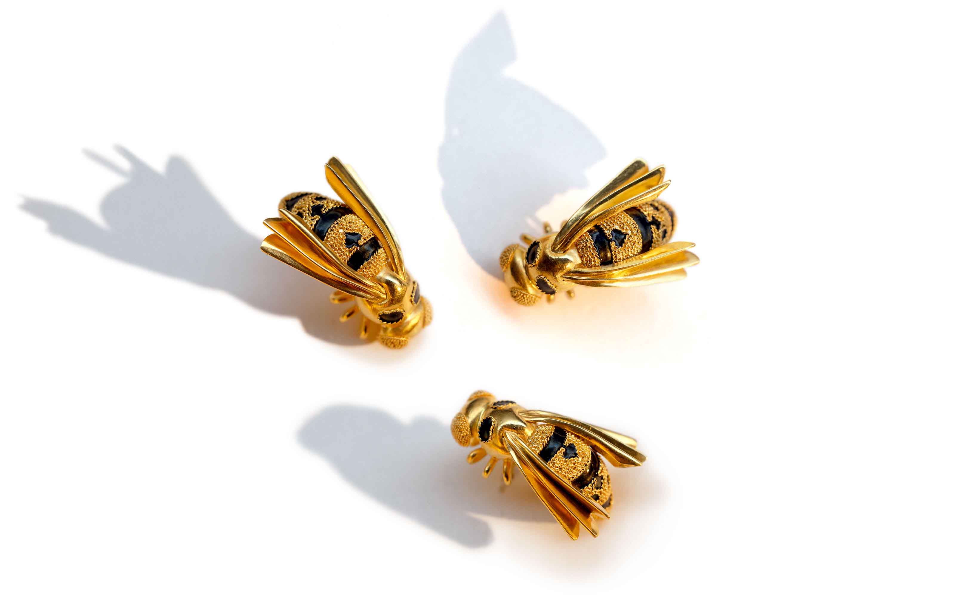 Wasps