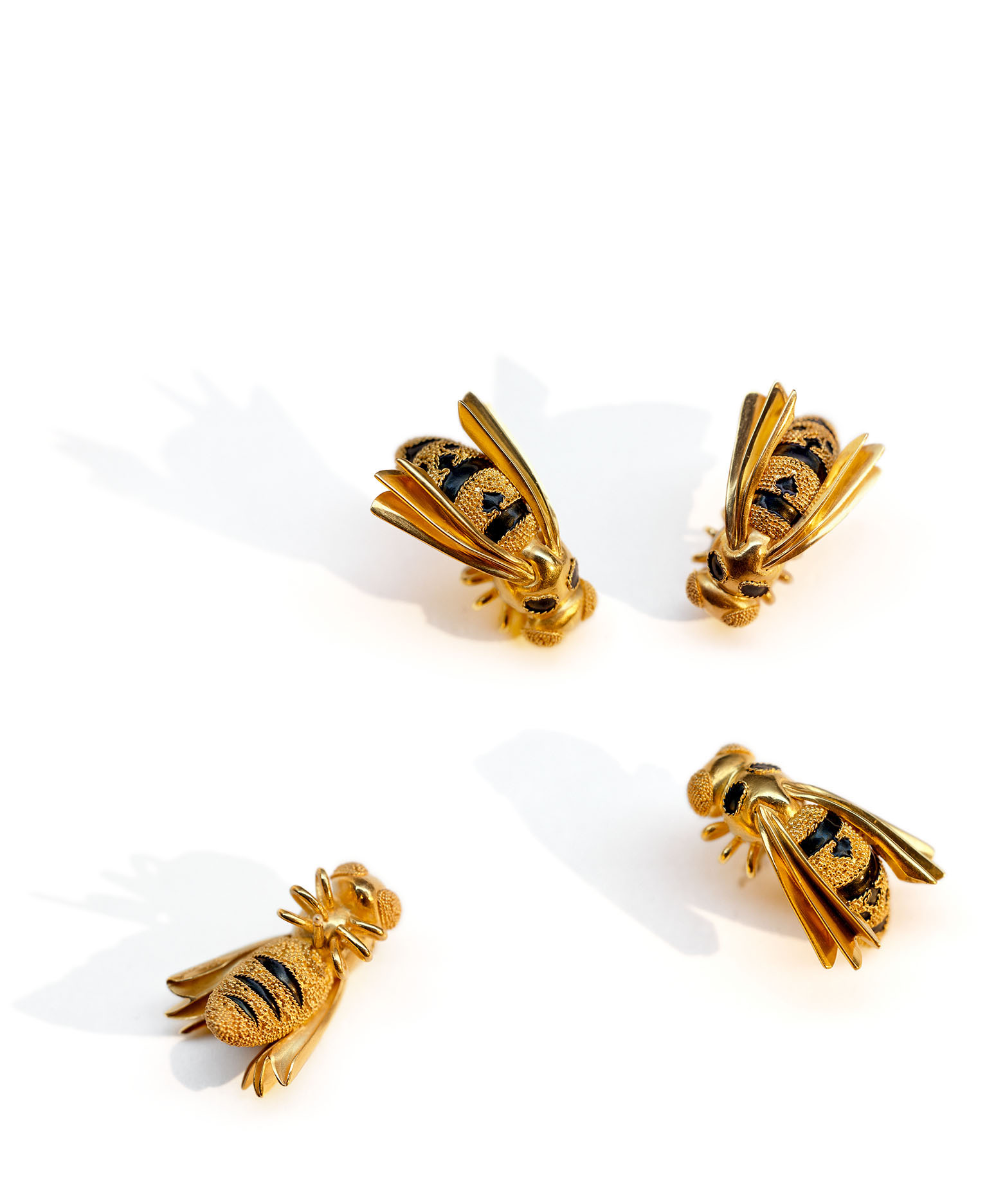 Wasps