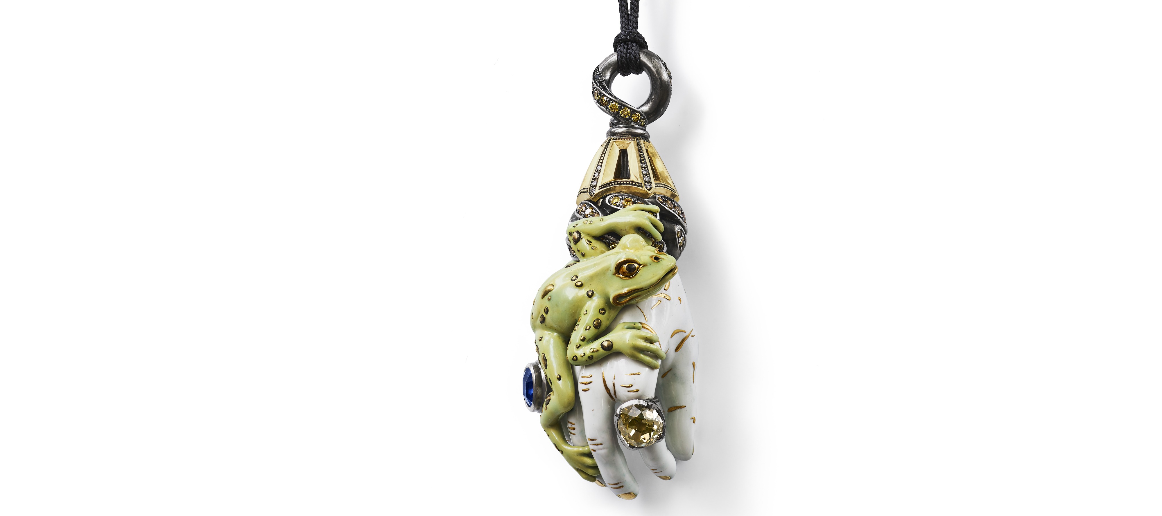 Hand mit Frosch V