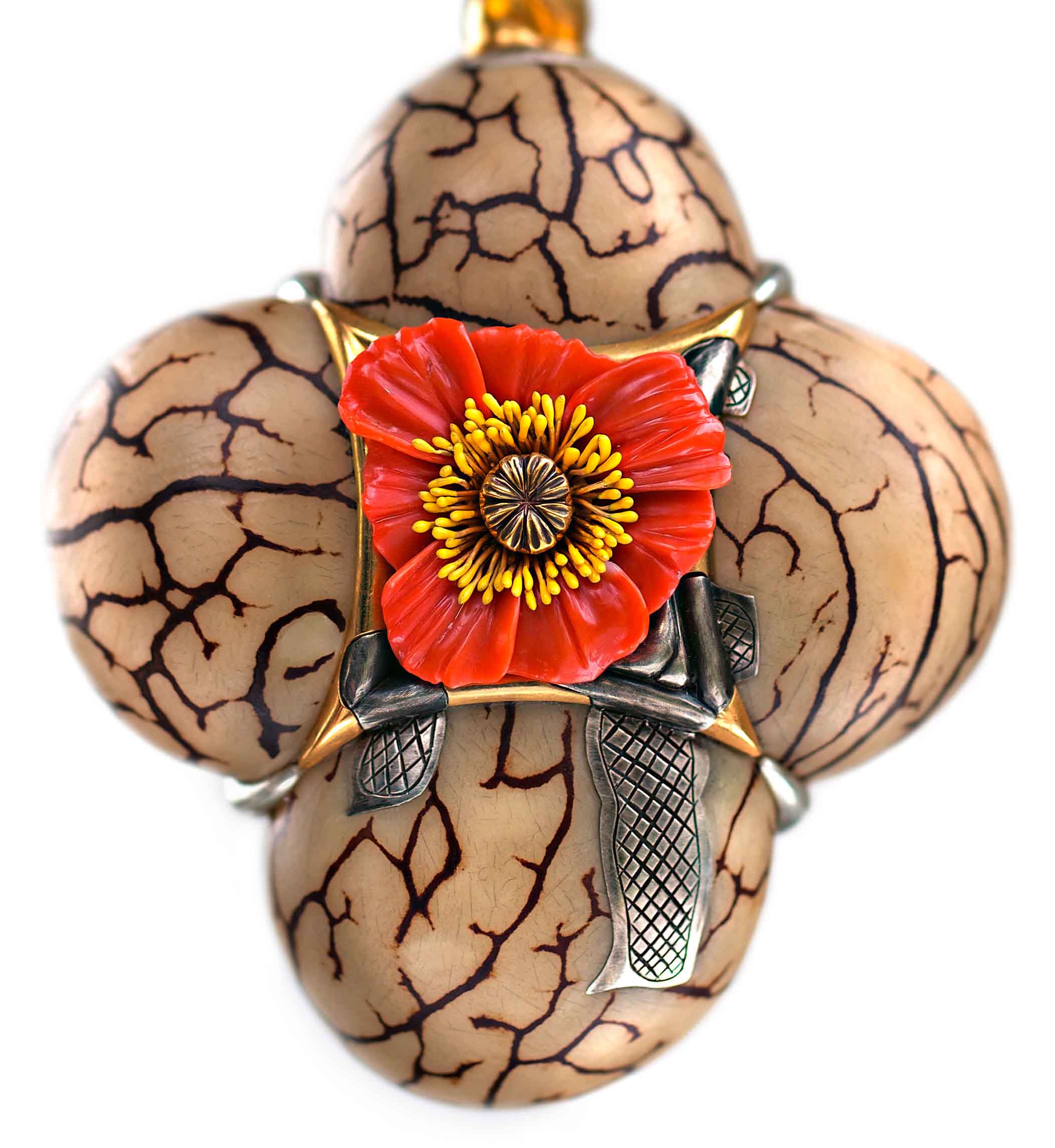 Papaver