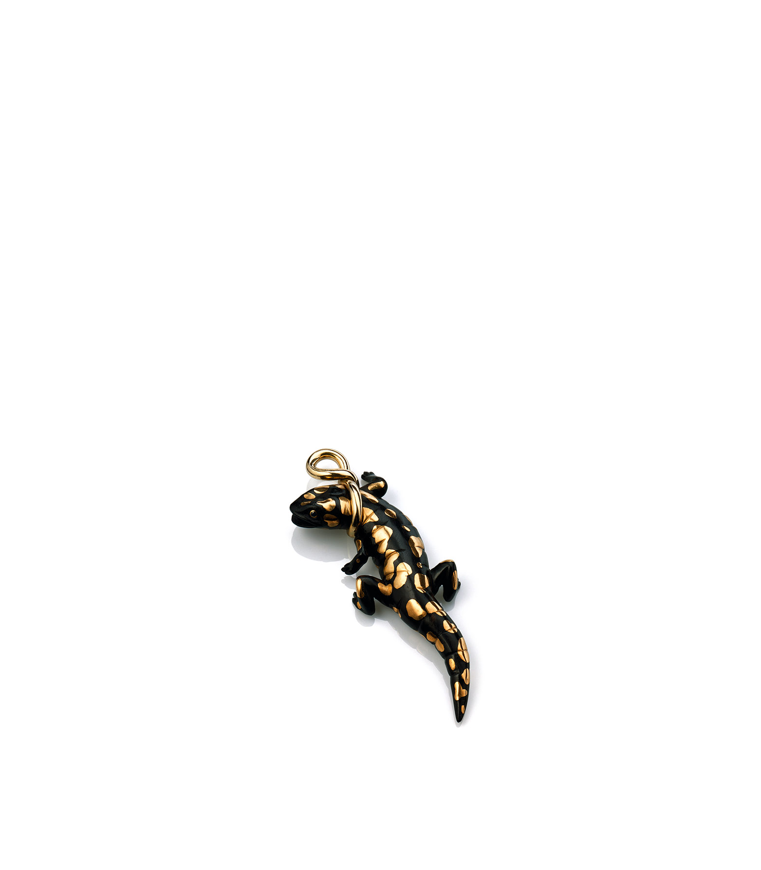 Salamander I
