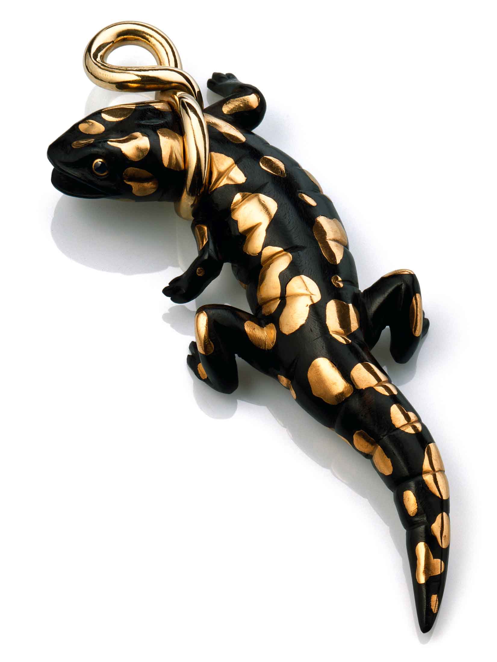 Salamander I