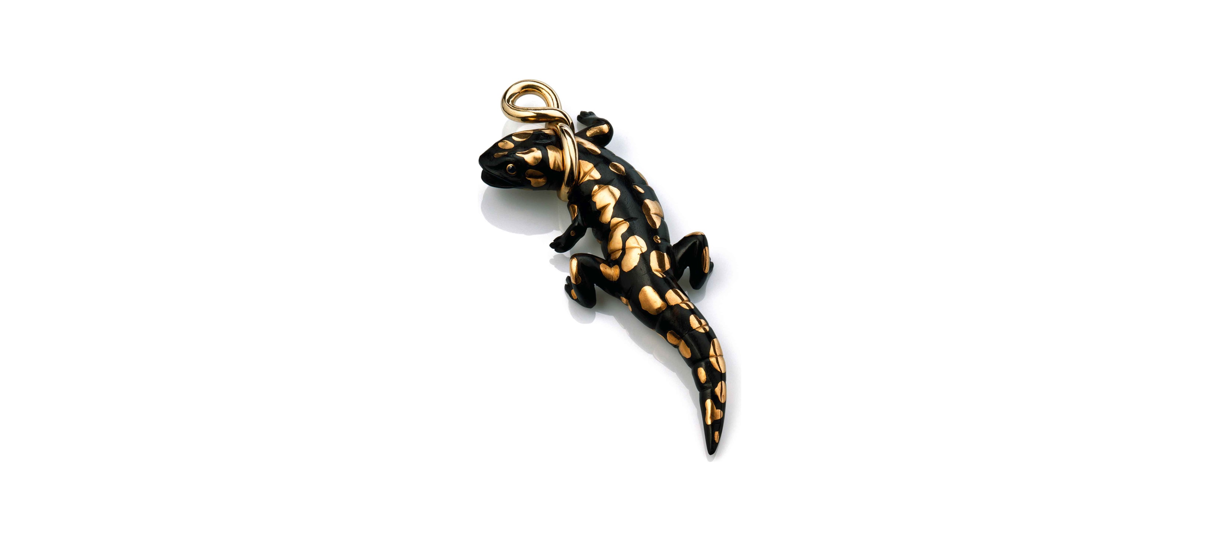 Salamander I