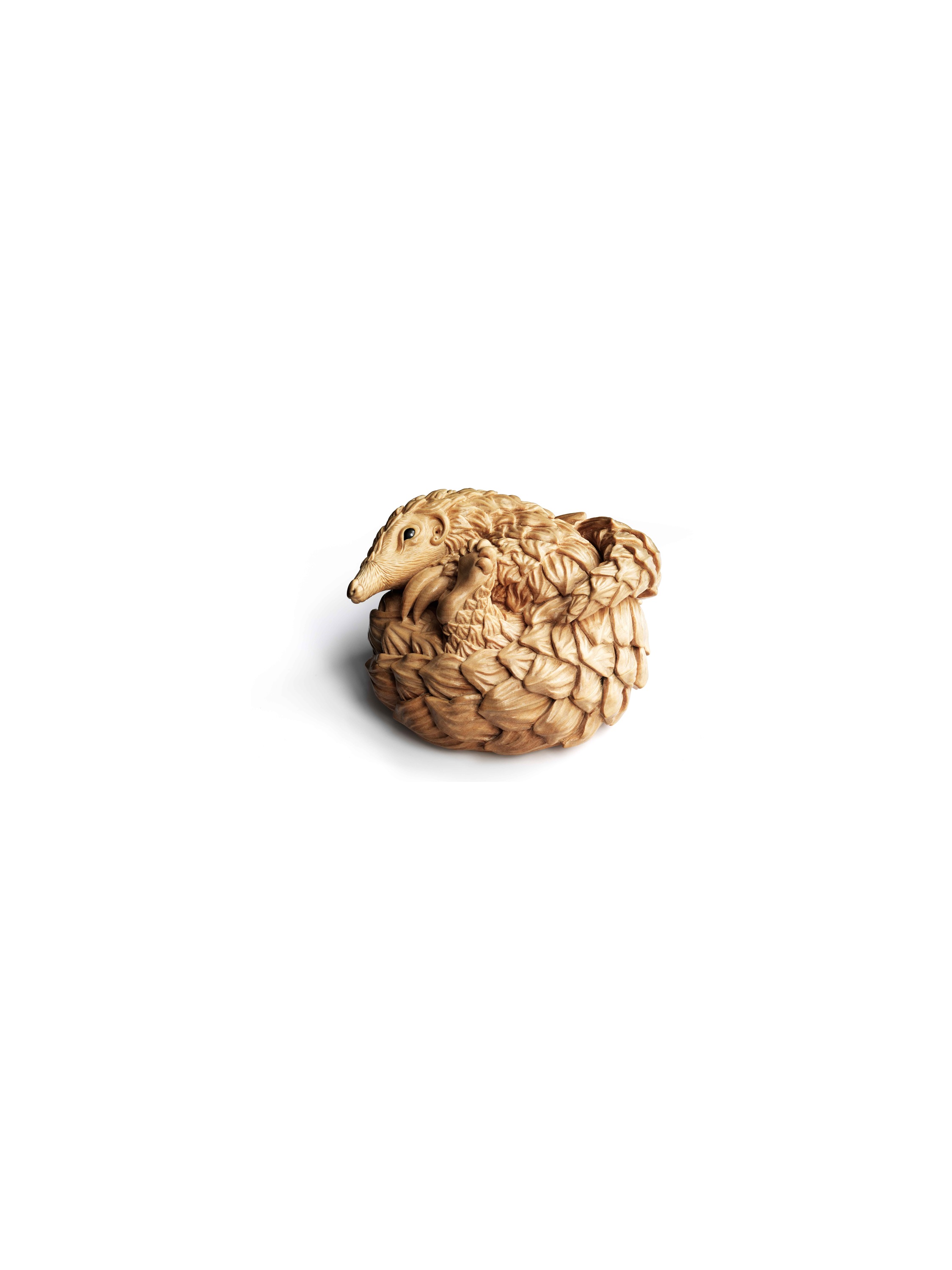 Pangolin