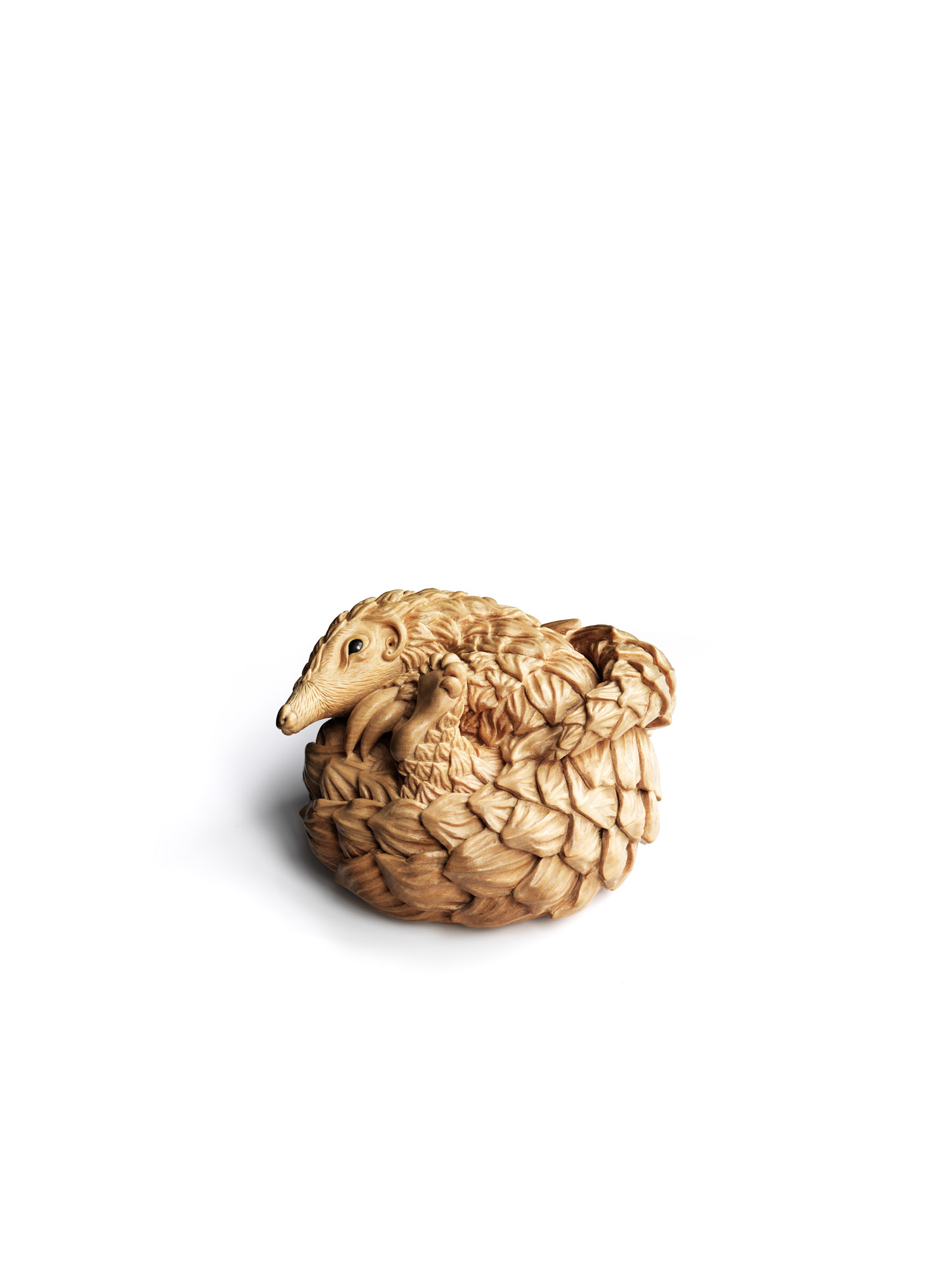 Pangolin
