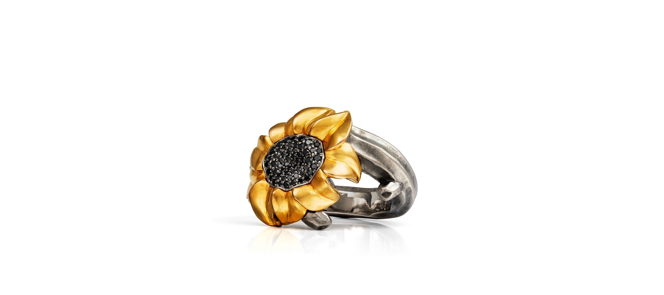 Helianthus