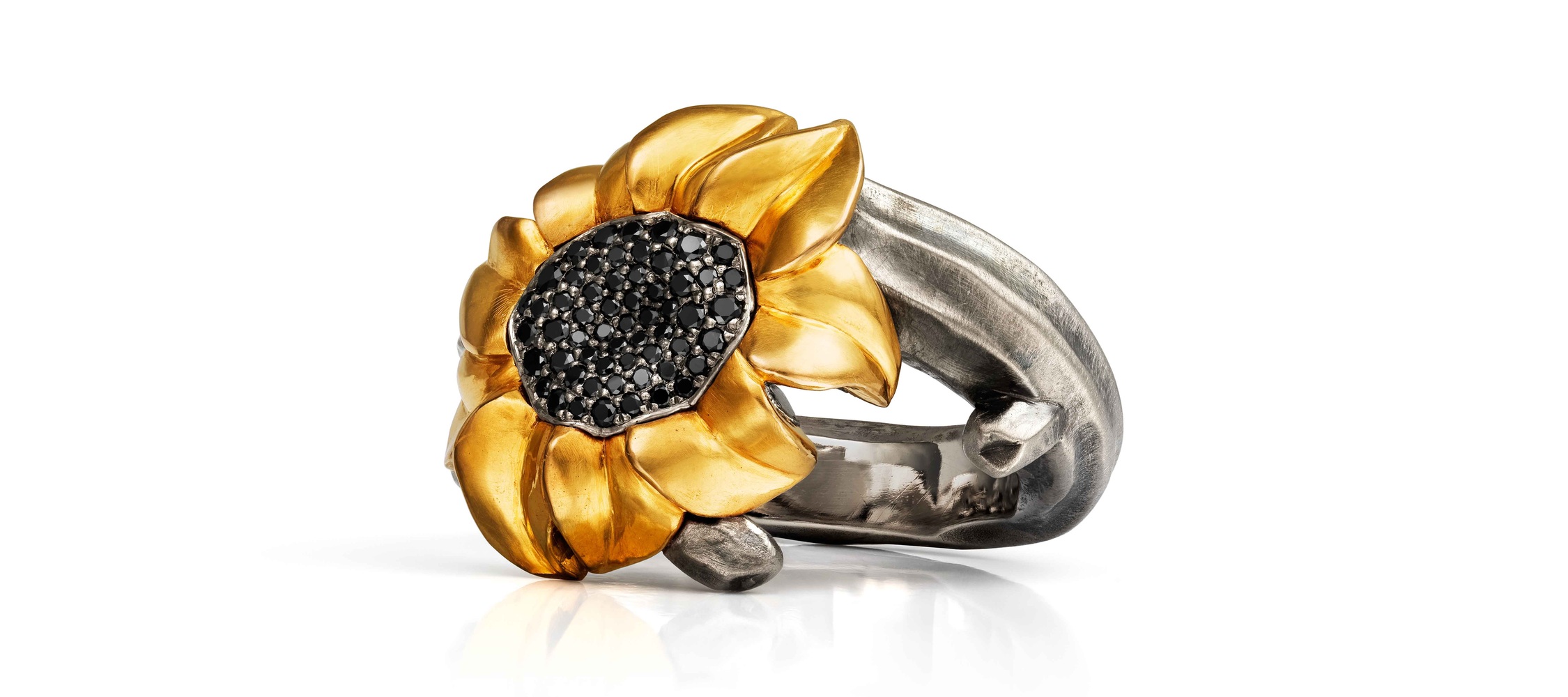 Helianthus